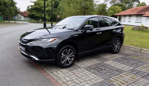 国产19p,揭秘我国新一代高性能计算芯片的突破与创新